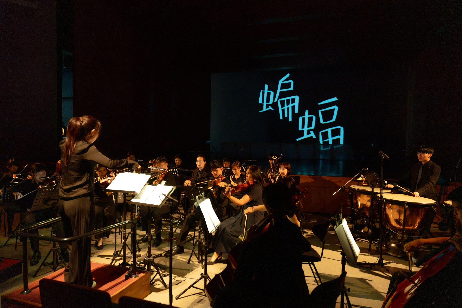山川回響間，看見夜燕新風貌：《蝙蝠》歌劇音樂會
